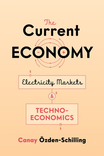 The Current Economy: Electricity Markets and Techno-Economics