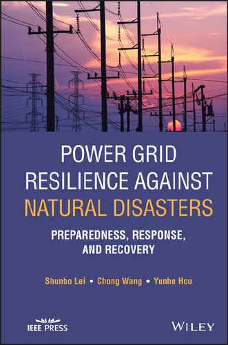 Power Grid Resilience against Natural Disasters: Preparedness, Response, and Recovery (IEEE Press)