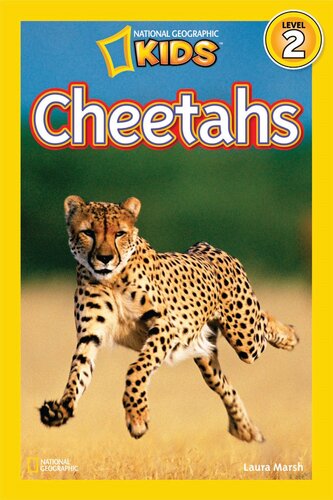 Cheetahs