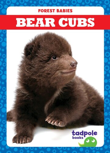 Bear Cubs