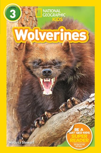 National Geographic : Wolverines (L3)