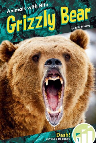 Grizzly Bear