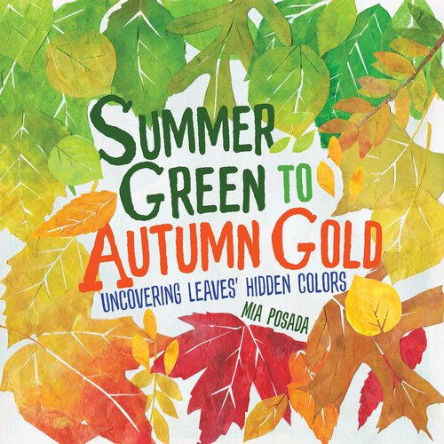 Summer Green to Autumn Gold: Uncovering Leaves' Hidden Colors
