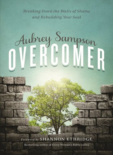 Overcomer: Breaking Down the Walls of Shame and Rebuilding Your Soul