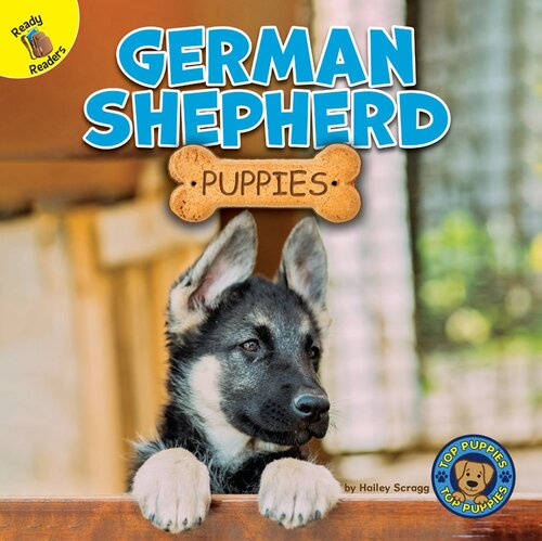 German Shepherd Puppies