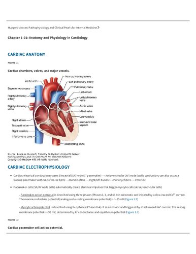 Huppert's Notes: Pathophysiology and Clinical Pearls for Internal Medicine