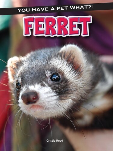 Ferret