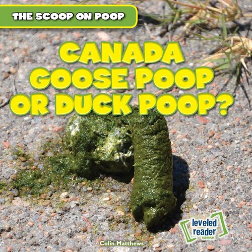 Canada Goose Poop or Duck Poop?