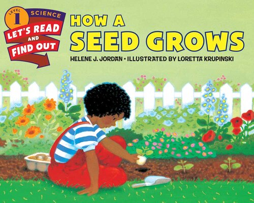 How a Seed Grows