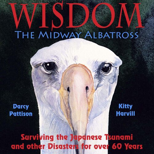 Wisdom, The Midway Albatross