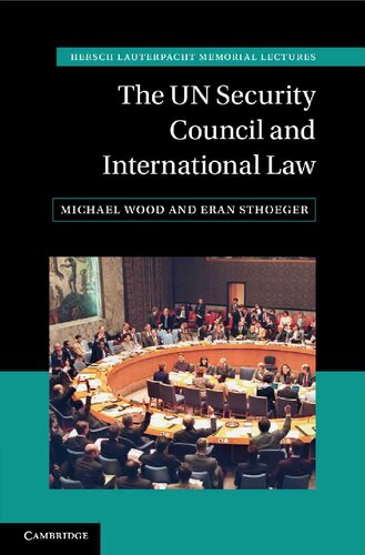The UN Security Council and International Law