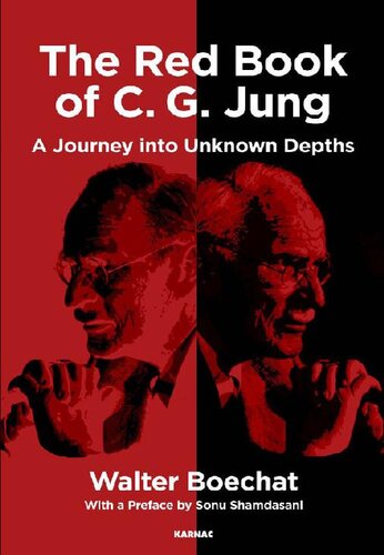 The Red Book of C.G. Jung: A Journey into Unknown Depths
