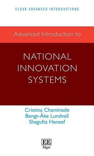 Advanced Introduction to National Innovation Systems