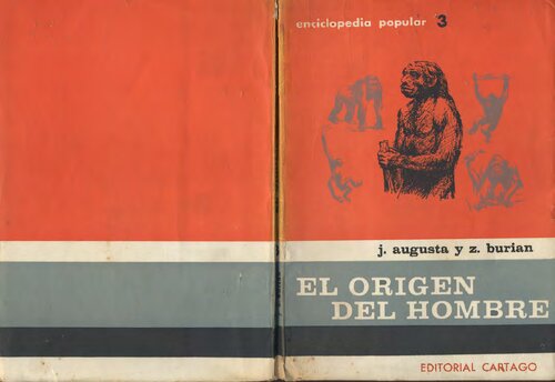 El Origen del Hombre