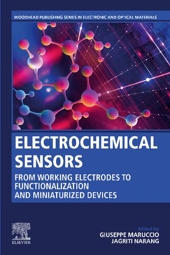 Electrochemical Sensors: From Working Electrodes to Functionalization and Miniaturized Devices