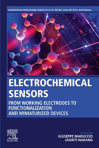 Electrochemical Sensors: From Working Electrodes to Functionalization and Miniaturized Devices