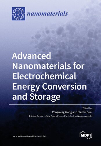 Advanced Nanomaterials for Electrochemical Energy Conversion and Storage