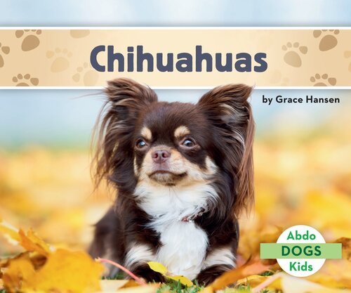 Chihuahuas