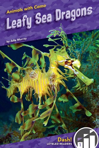 Leafy Sea Dragons