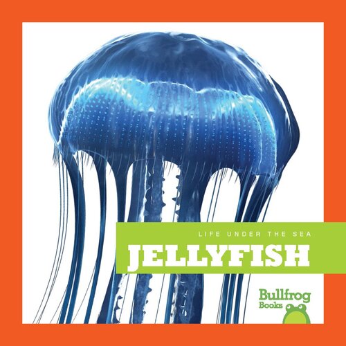 Jellyfish