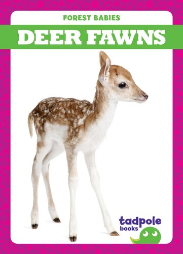 Deer Fawns