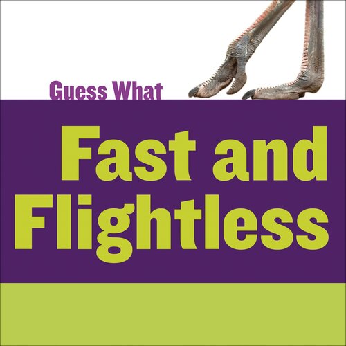 Fast and Flightless: Ostrich