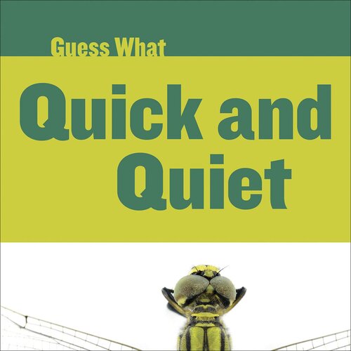 Quick and Quiet: Dragonfly