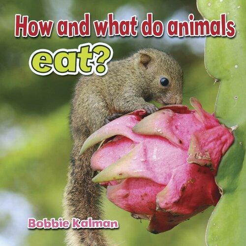 How and What Do Animals Eat?