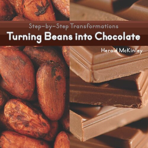 Turning Beans Into Chocolate