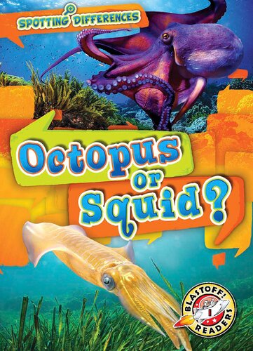 Octopus or Squid?