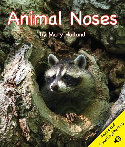 Animal Noses