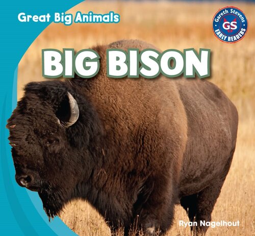 Big Bison