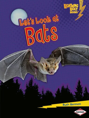 Let's Look at Bats