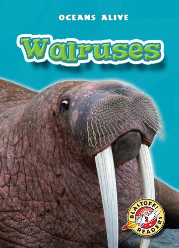 Walruses