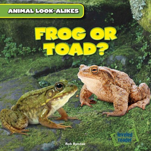 Frog or Toad?