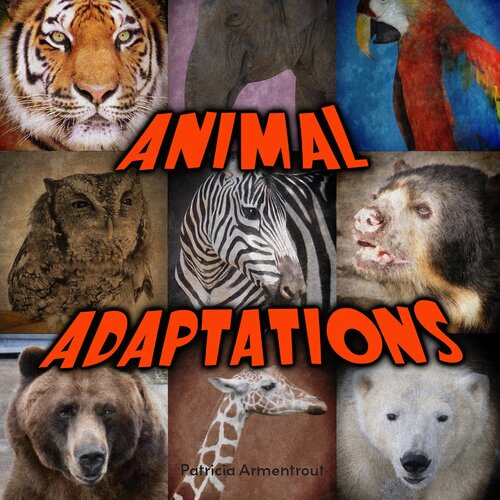 Animal Adaptations