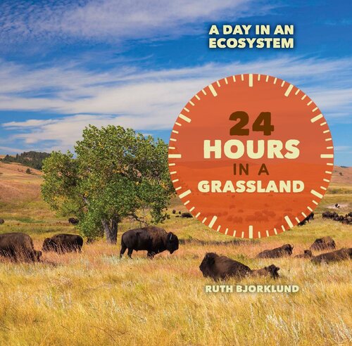 24 Hours in a Grassland