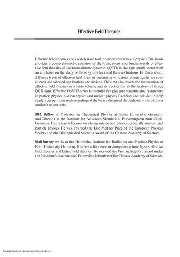 Effective Field Theories