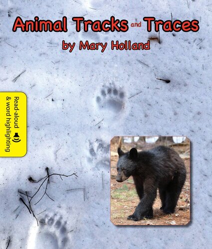 Animal Tracks and Traces