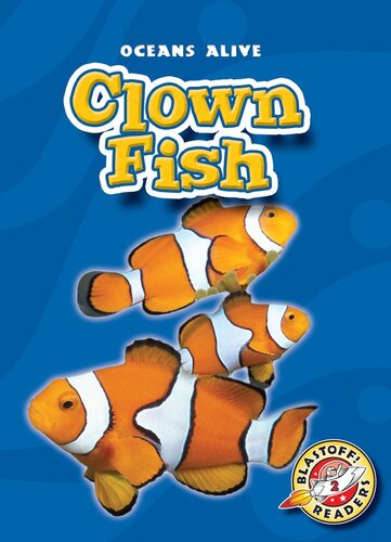 Clown Fish