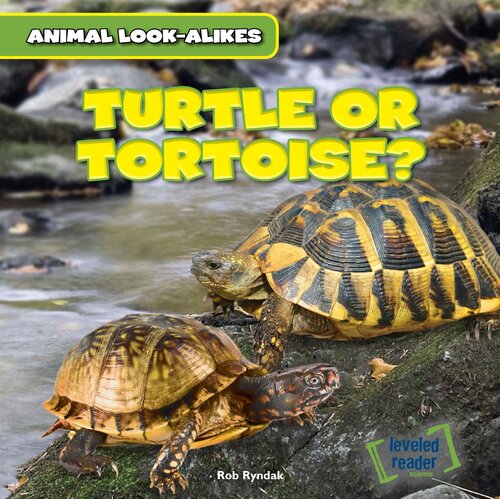 Turtle or Tortoise?