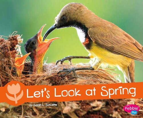 Let's Look at Spring: A 4D Book