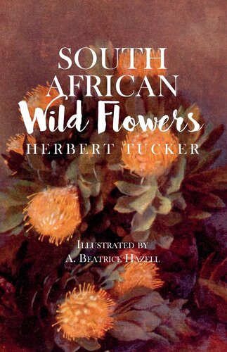 South African Wild Flowers: Illustrated by A. Beatrice Hazell