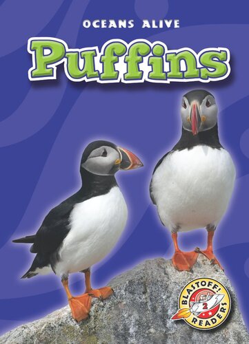 Puffins