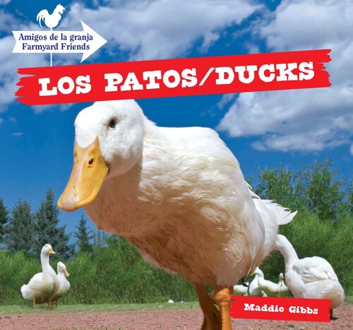 Los Patos / Ducks