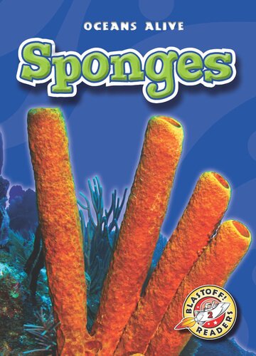 Sponges