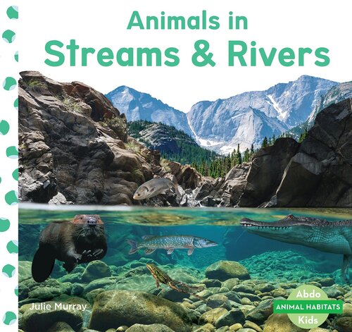 Animals in Streams & Rivers