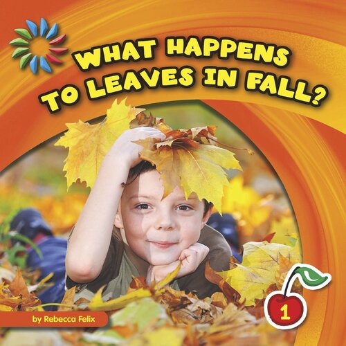 What Happens to Leaves in Fall?