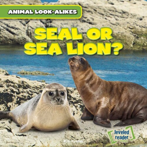 Seal or Sea Lion?