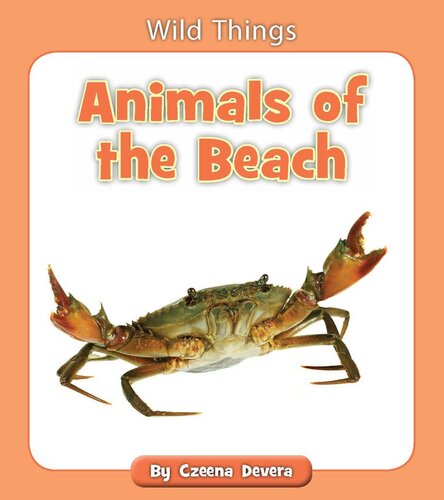 Animals of the Beach